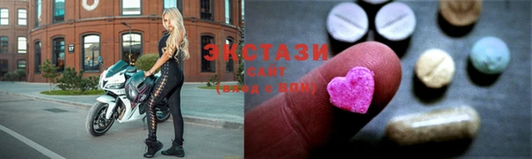 стаф Вязьма