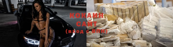 стаф Вязьма