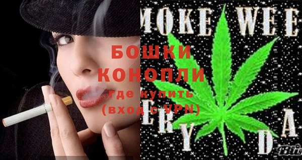 стаф Вязьма